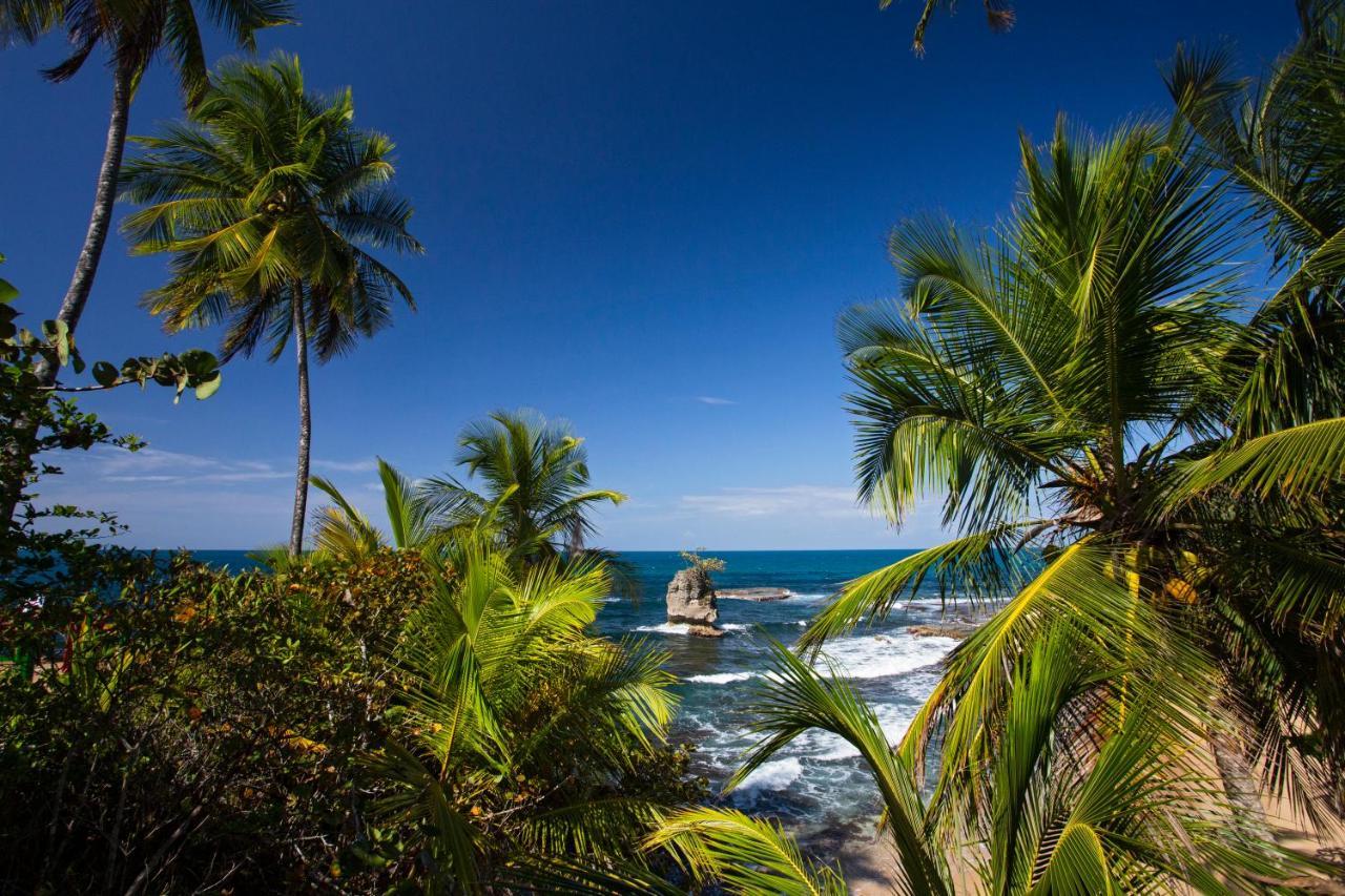 Manzanillo Caribbean Resort Puerto Viejo de Talamanca Экстерьер фото