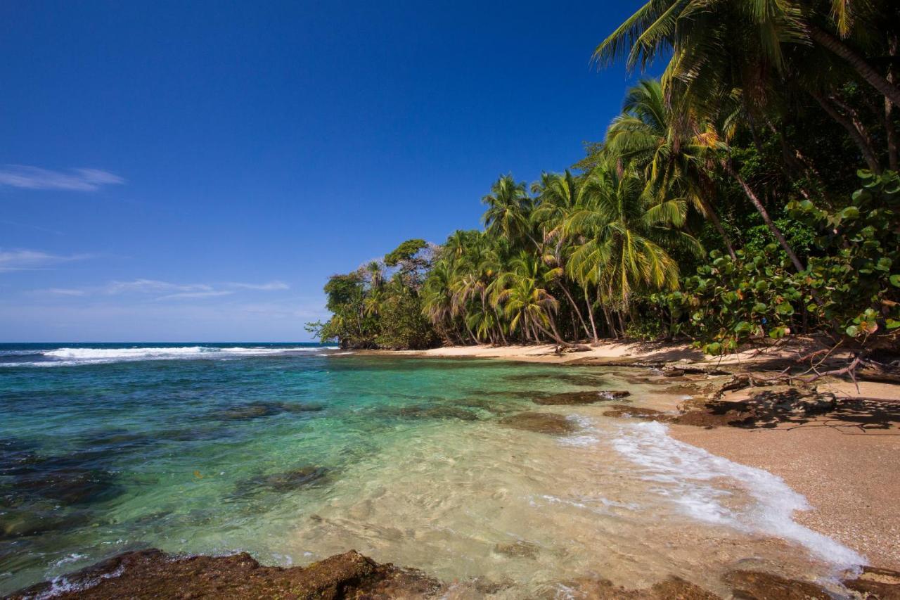 Manzanillo Caribbean Resort Puerto Viejo de Talamanca Экстерьер фото