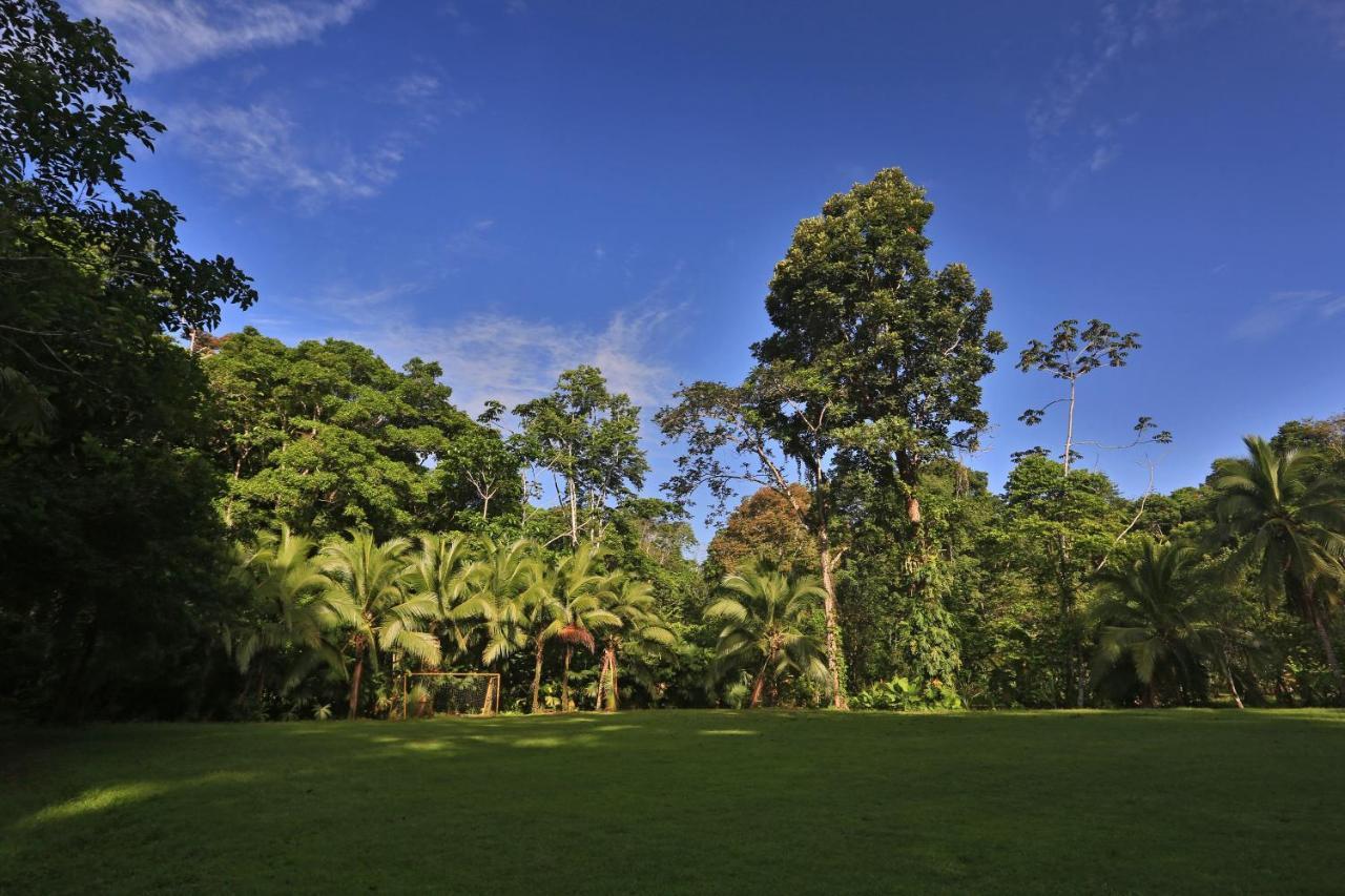 Manzanillo Caribbean Resort Puerto Viejo de Talamanca Экстерьер фото
