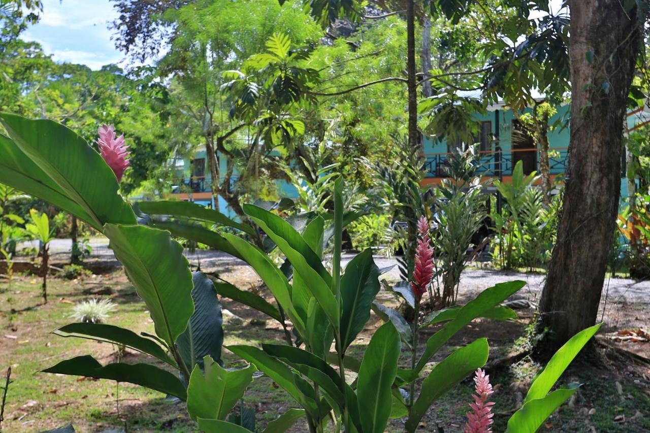Manzanillo Caribbean Resort Puerto Viejo de Talamanca Экстерьер фото